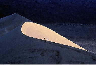 中国队勇夺“吃鸡”全球总冠军！奖金约880万元